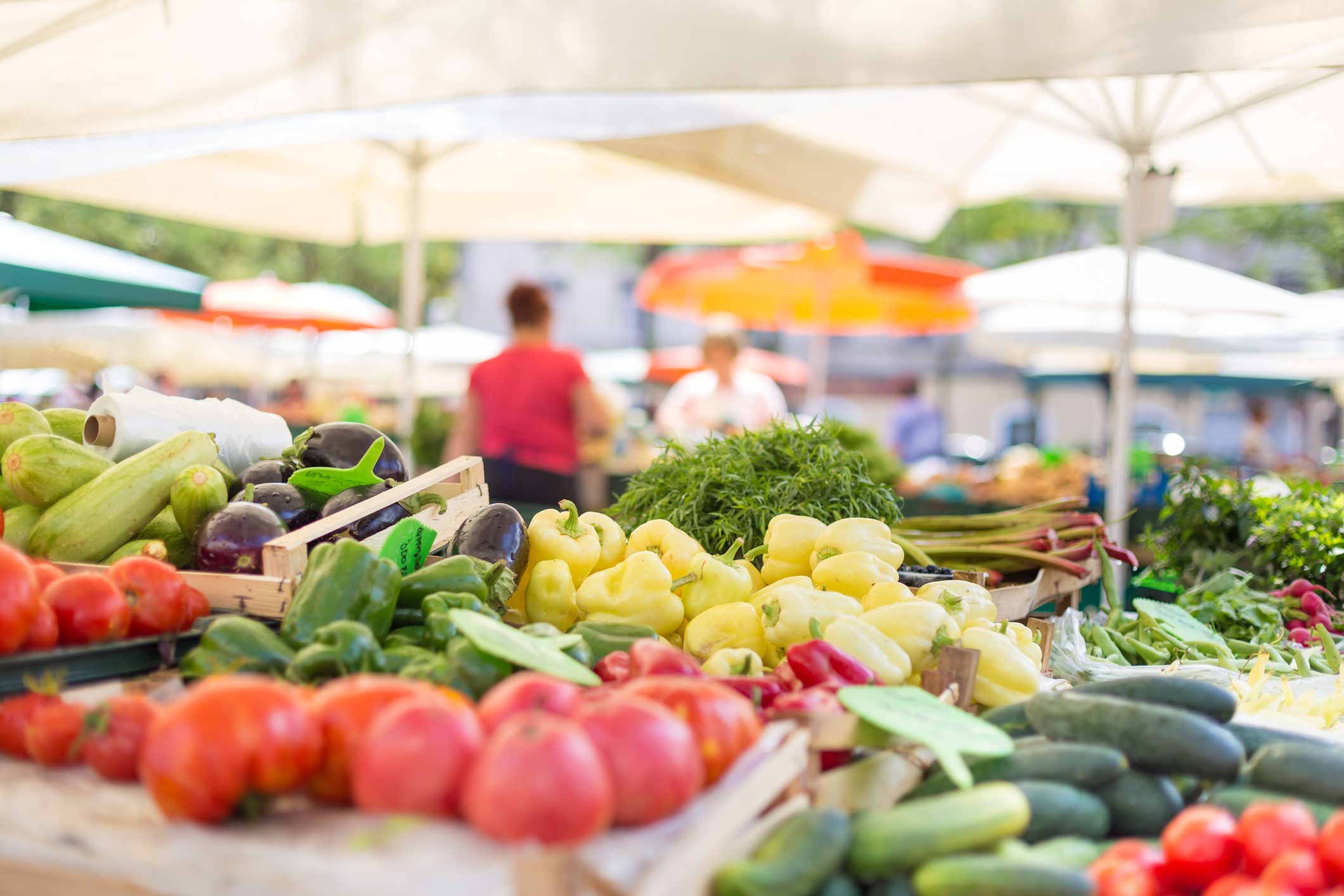 Farmers' food market stall with variety of organic vegetable.